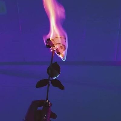 Hikari's profile picture