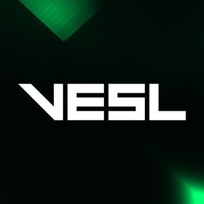 Varsity Esports & STEM League's profile picture