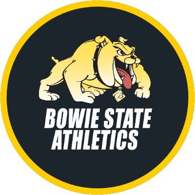 BSU_Sports_Info's profile picture