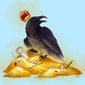 Profilbild von AShinyRavenHoard