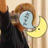 Profilbild von しょーチャン