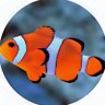 さかなっつ🐡 的头像
