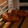 Butter Gipfel 🥐's profile picture