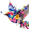 Profilbild von 花唄toまつ