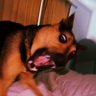 namzuk's profile picture