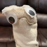 HUCK THE SOCK's profile picture