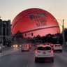 Фото профиля LasVegasNetsFan