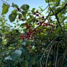 Profilbild von wxy2792