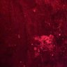 Profilbild von A