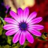 Фото профиля Margarita Valdez