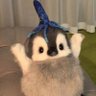 Profilbild von amogus