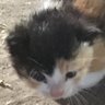 Фото профиля けいちゃんママ