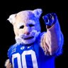 Cosmo Cougar 的头像