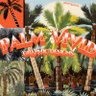 Profilbild von PalmVivid