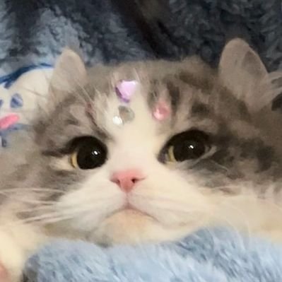 lagnwen926479's profile picture