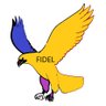 Profilbild von Fidel