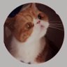 鹿雪飞 profil fotoğrafı