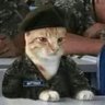 Don Simplicio's profile picture