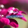 Amal💛🖤's profile picture