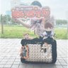 Profilbild von あられ(最強)