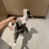 蒜泥(嘎嘎老婆版)'s profile picture