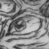 ukn's profile picture