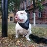 Profilbild von Павел Романов