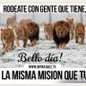 jorge martin 的头像