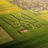 Фото профиля любитель