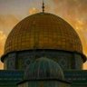 Фото профиля Mohamed