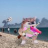 Profilbild von AussieRelFella ๐ฆ๐บ