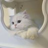 :3 profil fotoğrafı