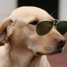 Chepkulgong's profile picture