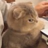 Фото профиля 水さん