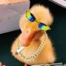 Profilbild von leleco
