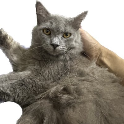 Arcthurus2's profile picture