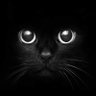 Profilbild von phattkat