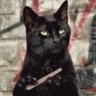 Profilbild von Futures 06