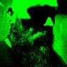 𝔖𝔱𝔢𝔭𝔥𝔢𝔫 𝔍. 𝔍𝔞𝔠𝔮𝔲𝔢𝔰 profil fotoğrafı