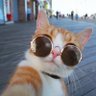 Flo4343's profile picture