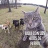 Profilbild von Pancho Pistolas