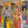 Profilbild von Prashant Mishra
