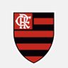 Фото профиля Conservadorismo e Flamengo