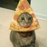 Фото профиля pussy enjoyer