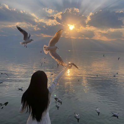 小助理(关注我防走丢)'s profile picture