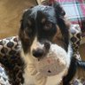 Profilbild von JoeJoe