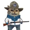 A cat.'s profile picture