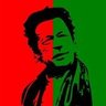 Rabbia khan PTI's profile picture