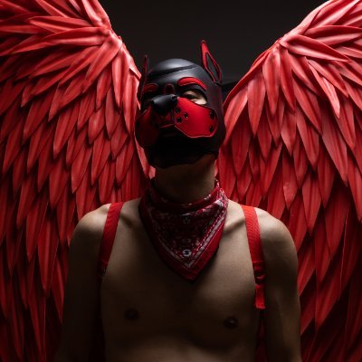 PupRally's profile picture