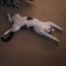 Colleen walker's profile picture